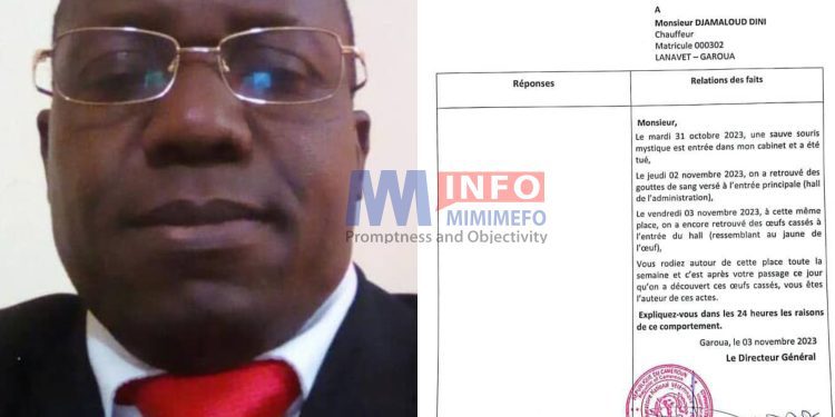 Director accuses driver of witchcraft