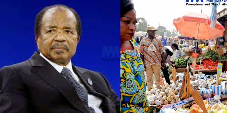 Cameroon's economy has been on a steady decline under Biya