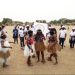 Maroua, capitale des Arts et de la Culture universitaires