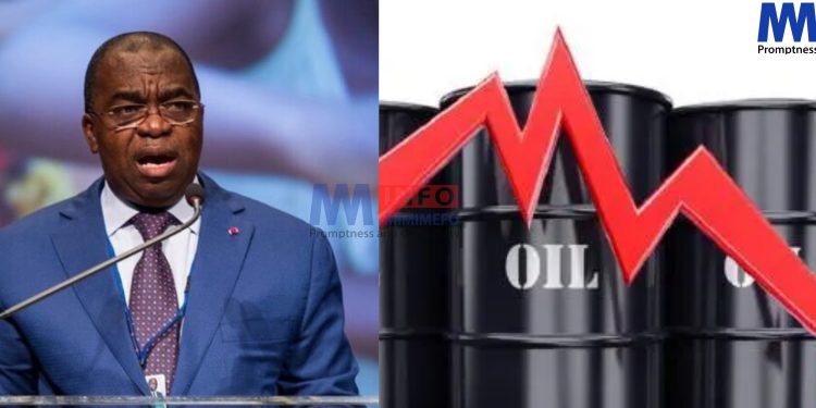 Cameron's Minister of Finance, Louis Paul Motaze says the country will reduce reliance on oil revenue