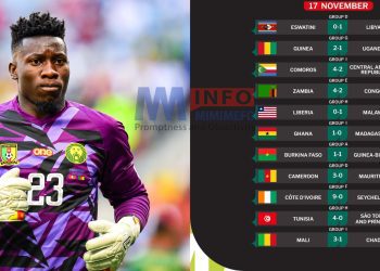 Onana Injury scare as Lions gain victory over Mauritius