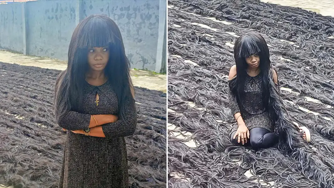 Wigms
