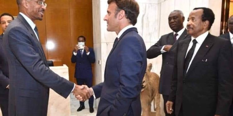 Franck Biya says he is not involved in CPDM politics