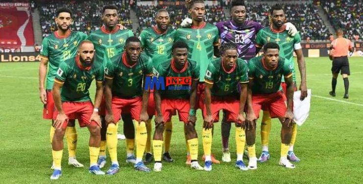Lions indomptables