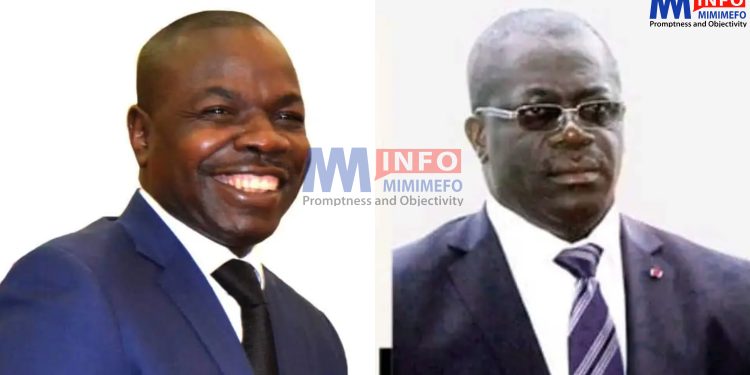 Amougou Belinga et Maxime Eko Eko libérés