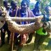 Leopard killed in Oku MMI