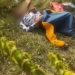 Unidentified Young woman found murdered in Kumba