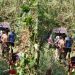 Accident Bafia Cameroon