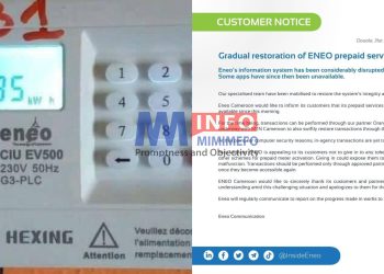 ENEO Cameroon