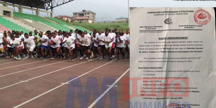 Mount Cameroon Race