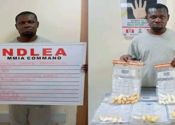 Udechukwu Ekene Theophilus arrested
