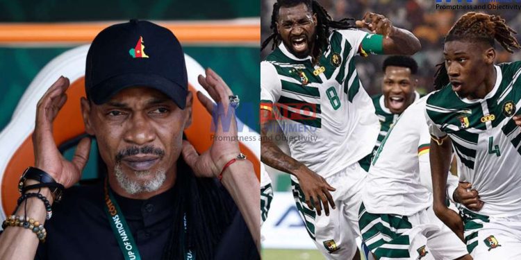 Who is to blame for the Lions' poor performance at the AFCON