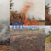 Cameroon's farming practices raises climate change concerns