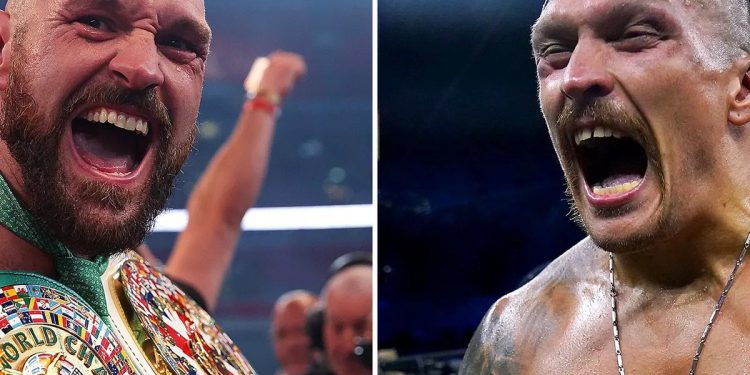 Fury and Usyk