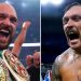 Fury and Usyk