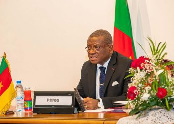 Cameroon Prime Minister Dion Ngute