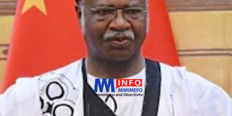 Philemon Yang, former Prime Minister of Cameroon