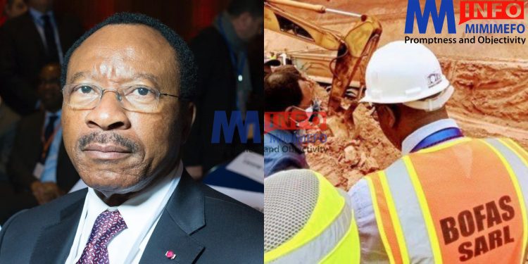 Public works minister terminates BOFAS contract