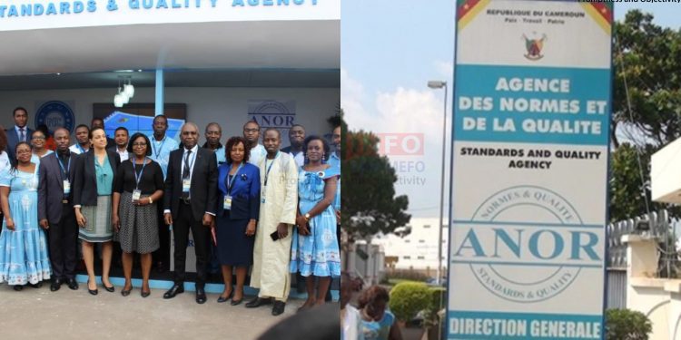 Are Cameroonians aware of ANOR