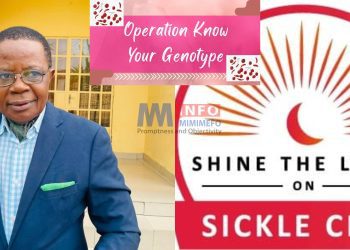 Ashu Egbe calls us to shine the Light on Sickle Cell Disease