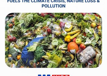 Food Waste impacts negatively on world hunger and the environment - UN report