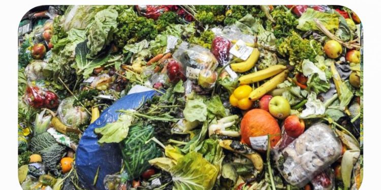 Food Waste impacts negatively on world hunger and the environment - UN report
