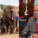 Botwana President threatens to send elephants to Germany