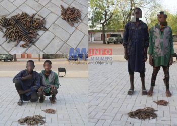 Deux combattants Boko Haram