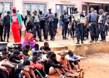 Drug abuse suspects arrested in Bamenda