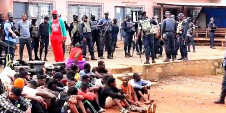 Drug abuse suspects arrested in Bamenda