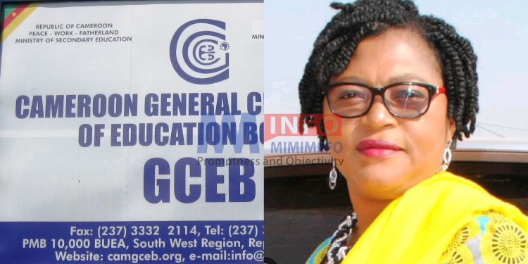 GCE Board to install cameras