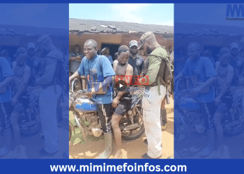 Ako Giant's capture has brought relief to the Community of Upper Banyang