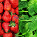 Spinach and strawberries, most contaminated