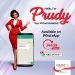 Prudential Beneficial Insurance Virtual Assistant - Prudy