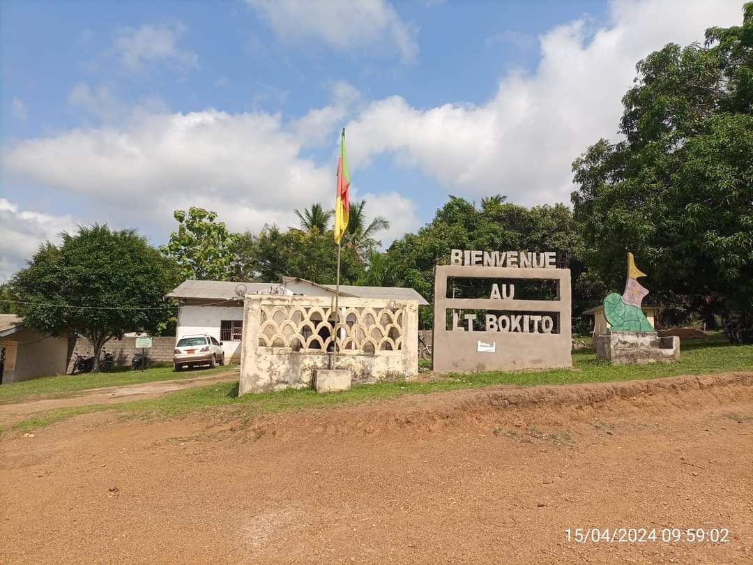 Bokito