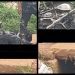 Thieve burned alife in Bamenda (MMI)