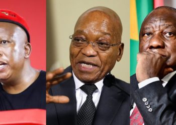 Julius Malema, Jacob Zuma, Cyril Ramaphosa South Africa election 2024 (MMI)