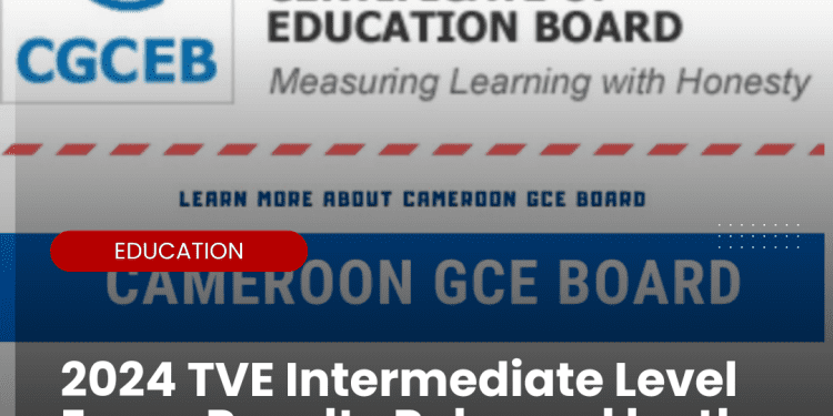 Cameroon GCEB Announces 2024 TVE Intermediate Level Exam Results!