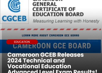 Cameroon Releases 2024 Technical and Vocational Education Advanced Level Exam Results!