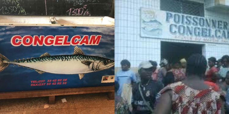 Congelcam Cameroon
