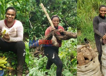 Meet Mbanwie Queenbelle who is farming to raise money to pursue a nursing career