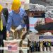 US government contributes food to conflict-hit regions of Cameroon