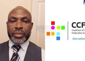 Cameroon federalists demand more action from the UN