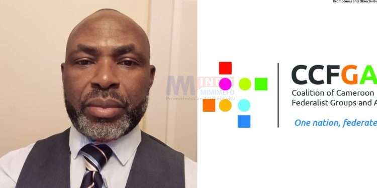 Cameroon federalists demand more action from the UN