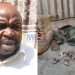 Herbalist could face life in prison