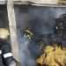 Kitchen Competition factory consumed by fire in Bamenda