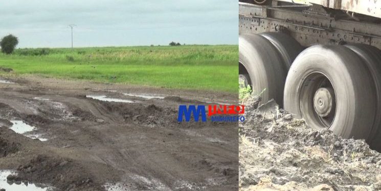 Route Maroua-Kousséri : Promesses non tenues et périls quotidiens sur l’axe stratégique du Nord-Cameroun