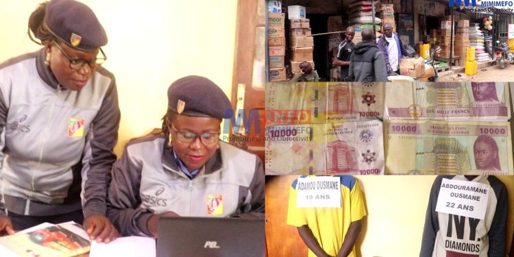 Mokolo : Faux Billets, Nouvelle Menace pour une Région Fragilisée