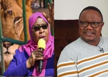 Tanzanian president names 'mischievous' lion after opposition leader