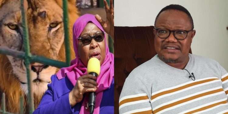 Tanzanian president names 'mischievous' lion after opposition leader